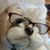 Denise Smith's profile image