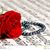 Maria Cortes's profile image
