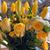 Michelle Owenby's profile image