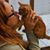 Kirsten Diane Jones's profile image