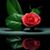 Guille Mejia's profile image