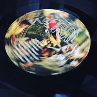 Todd Simmons's profile image