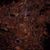 Andrew White's profile image