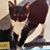 Pat Bariou Slater's profile image