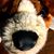 Christopher Hainsworth's profile image