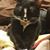 DH Marisol's profile image