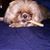 Ed Schwartz's profile image