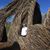 Sandra McHardie Collette's profile image