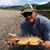 Ron Holliday's profile image