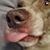 Sheilah Davis MacKinnon's profile image