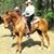 Cheryl Halpin's profile image