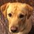Nicole Kohanski's profile image