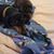 Jill Vivroux's profile image