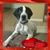 Jamison Bowser's profile image