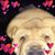 Dale Alderman's profile image