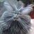 Eddie Edwin Taylor's profile image