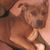 Ann Rathbun's profile image