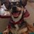 Betty Cropper's profile image