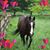 Pamela Bishop's profile image