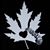 Carol Wickenhiser Schaudt's profile image
