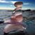 Darlene Rust's profile image