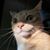 Thomas Wells's profile image