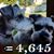 Angela G Nieves's profile image