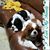 Karen Blair Lucanto Baez's profile image