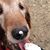 Heide Crossland Parks's profile image