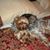 Cathy Boyce Rindels's profile image