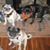 Nancy Hirschenberger's profile image