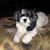 SueAnn Harrison's profile image