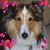 Darlene Wells's profile image
