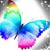Misty Huffine's profile image