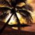 Kathy Gibson's profile image