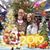 Carol Harp's profile image