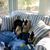 Lou Ann Tyer's profile image