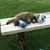 John Maske's profile image