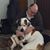 Douglas Lochowski-Haney's profile image