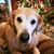 Jennifer Mathers Vieira's profile image