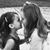 Lisa Shepley's profile image