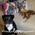 Shana Camacho's profile image