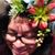 Karin Barend-McCreight's profile image