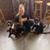Maureen Dixon's profile image