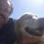 John Chick's profile image