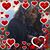 Shawna Cumberledge's profile image