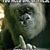 David McDaniel's profile image