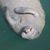 Kandis Joy's profile image
