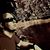 Chase Orband's profile image