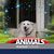 Bonnie J. Turnbull's profile image